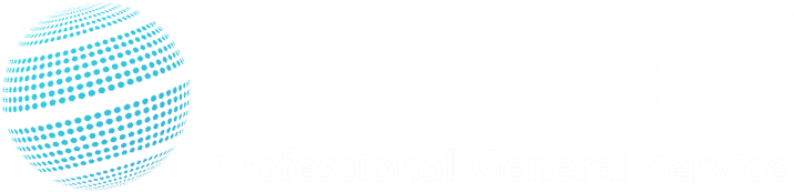 Logo de PGS Perú en color blanco